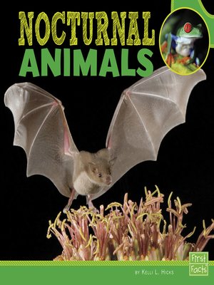 cover image of Nocturnal Animals